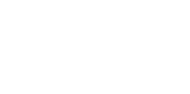 Festival Travel
