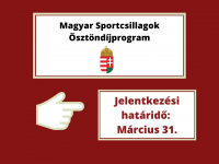 Magyar Sportcsillagok Ösztöndíjprogram